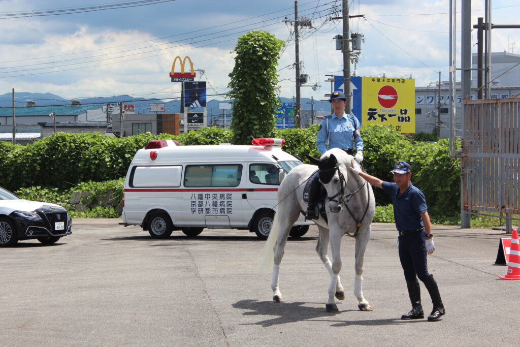 京都府警察騎馬隊